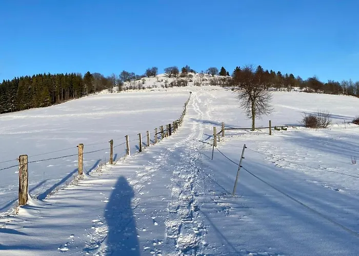 아파트 Naturquartier Am Osterkopf Usseln
